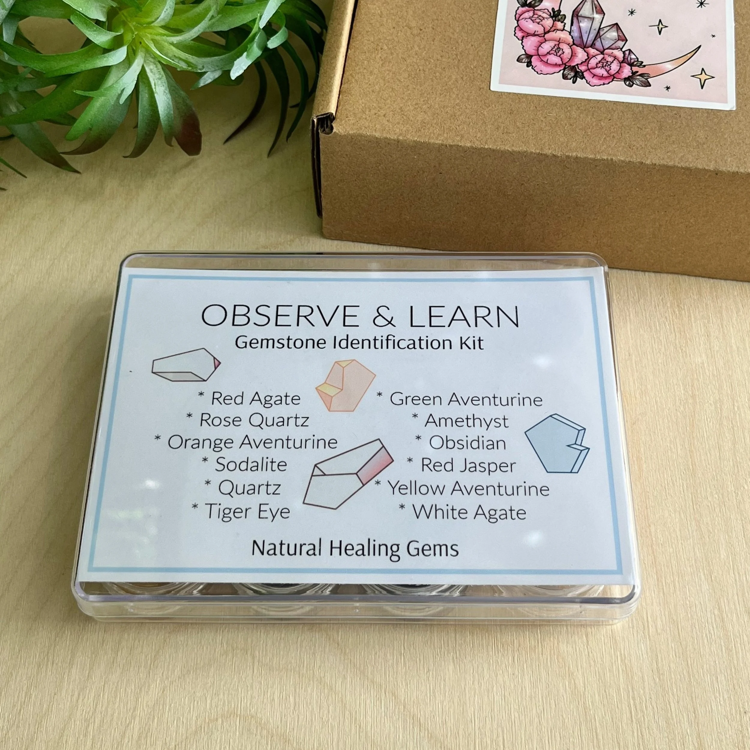 observe+and+learn+kit+1.jpg?
